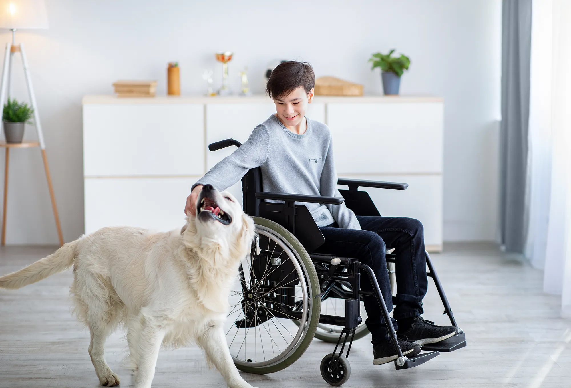 Impaired teenage boy in wheelchair petting his dog at home, full length portrait. Animal-assisted therapy concept